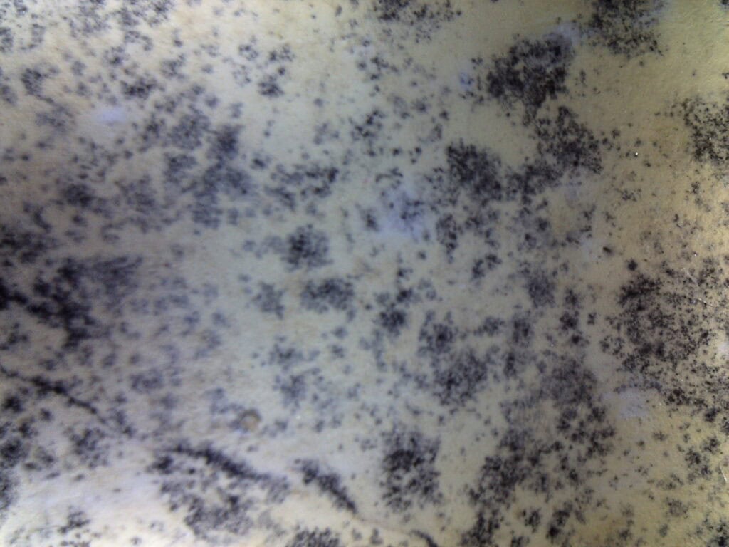 Cos’è la muffa sui muri: esempio di proliferazione su parete interna