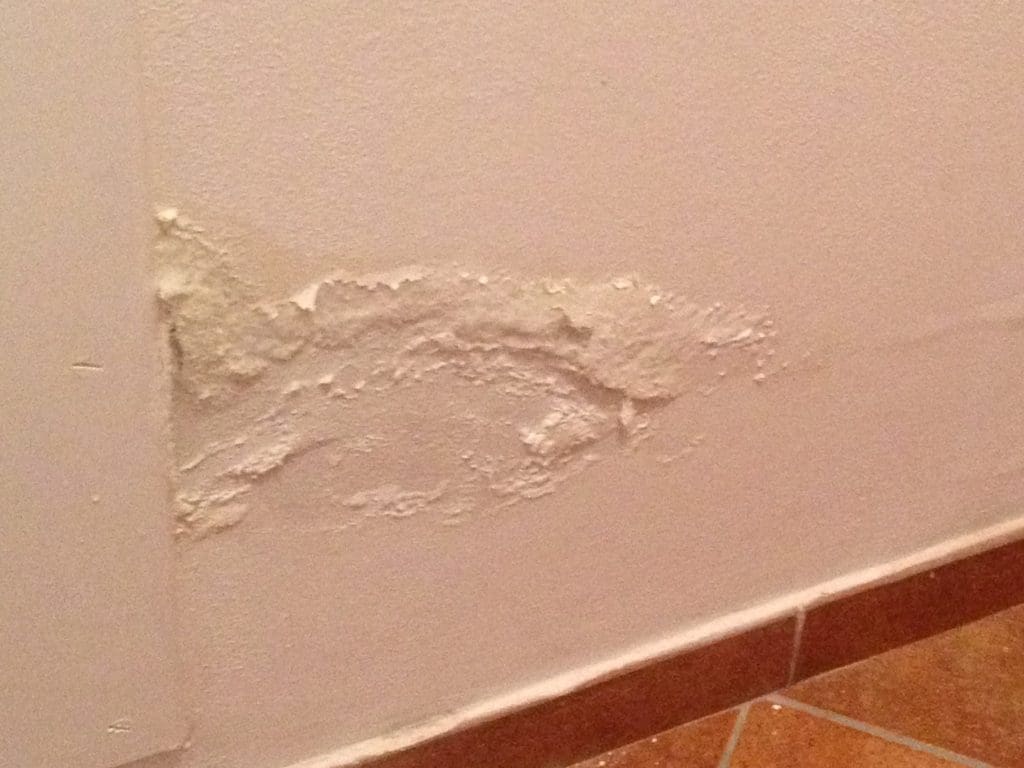 muffa bianca sul muro