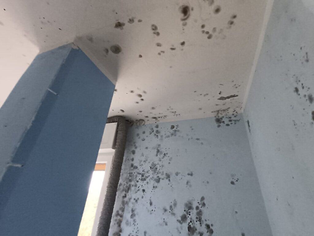 muffa di risalita proliferazione di muffa su parete e soffitto dovuta a condensa e scarsa ventilazione