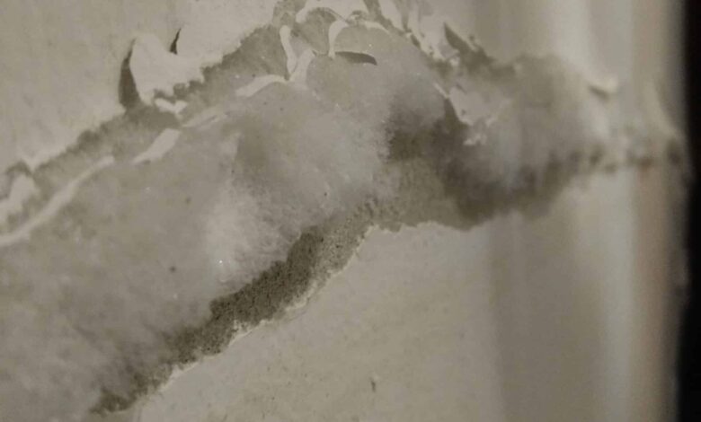 Rifacimenti intonaco deumidificante falliti con degrado ricorrente della muratura