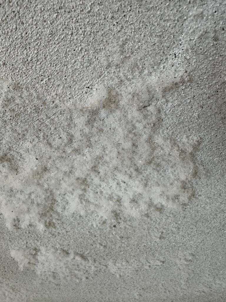 degrado muro ex stalla degrado muro ex stalla