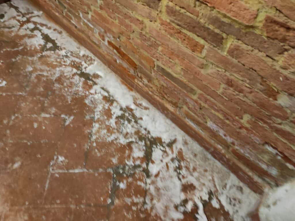 Degrado salino delle murature influenzato dal dilavamento e dal trasporto dei sali nel terreno