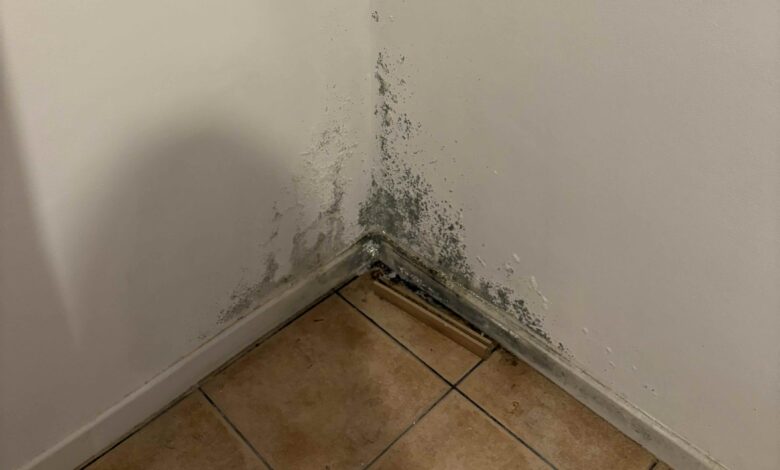 Condensa sotto pavimento vicino alla parete
