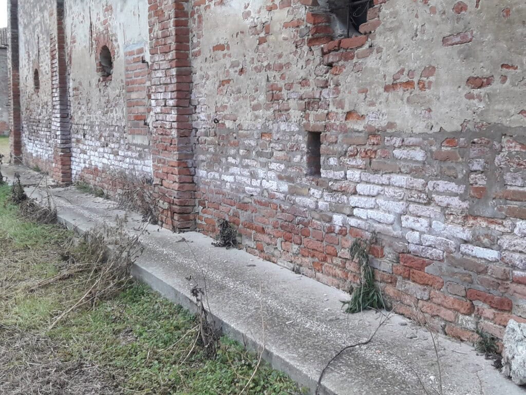 efflorescenza muratura efflorescenza muratura
