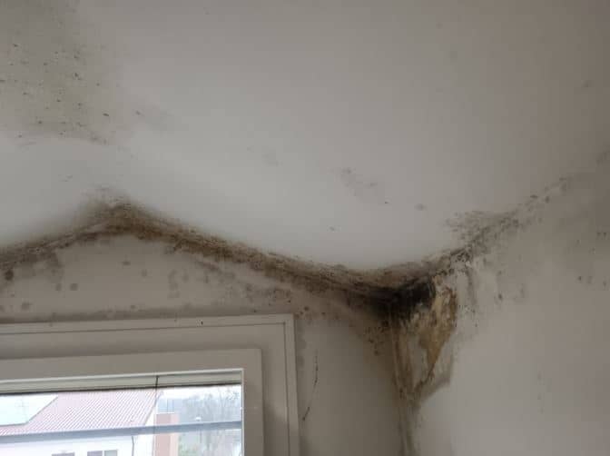 Condensa e muffa in ambiente con ventilazione insufficiente