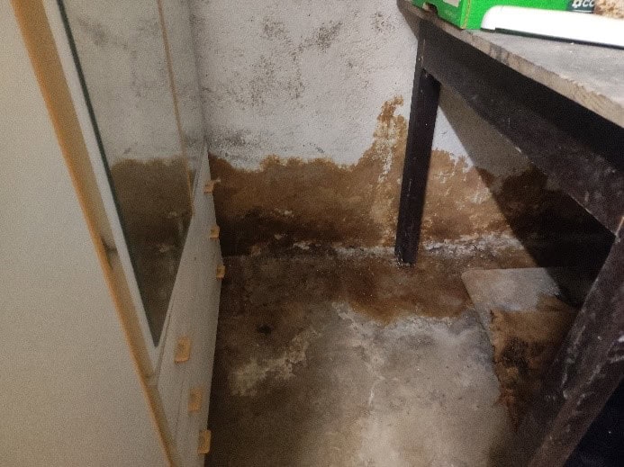 Decoesione dell’intonaco associata a contaminazioni biologiche Decoesione dell’intonaco associata a contaminazioni biologiche