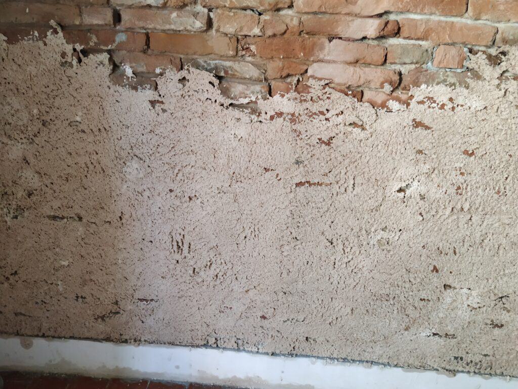 impacco cellulosa muro sali