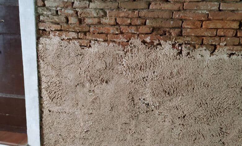 impacco cellulosa muro sali