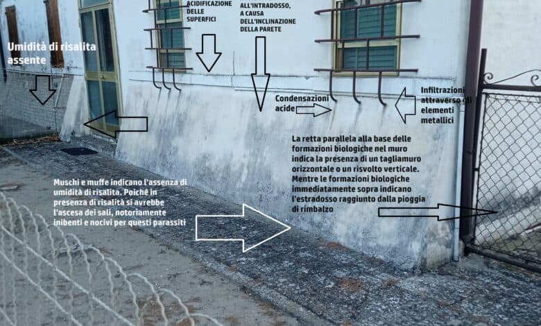 Degrado da sali nelle murature con efflorescenze e percorsi dell’umidità