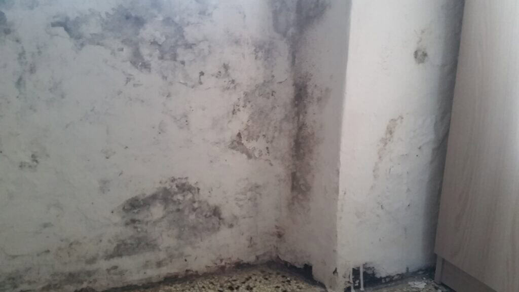Muffa superficiale causata da condensa su parete fredda Muffa superficiale causata da condensa su parete fredda