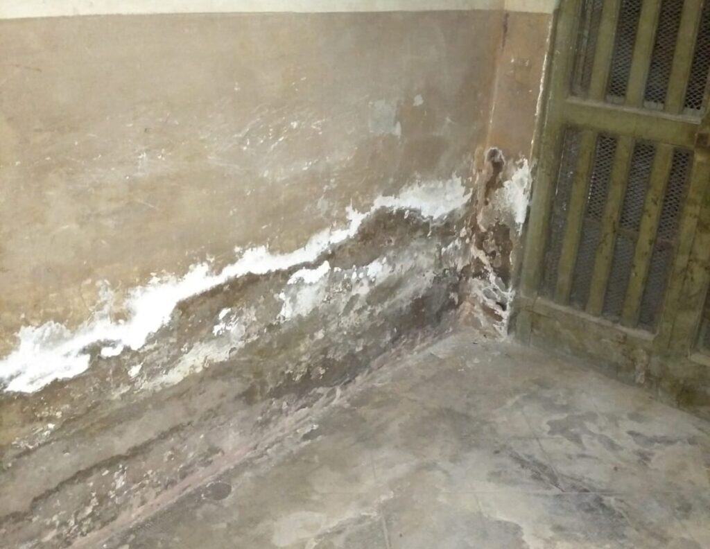 Cantina allagata con necessità di valutare contaminazioni e quota reale di intervento