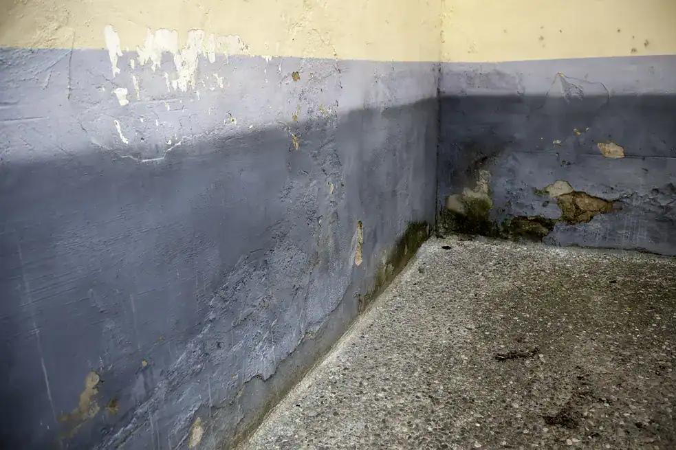 Infiltrazioni acqua