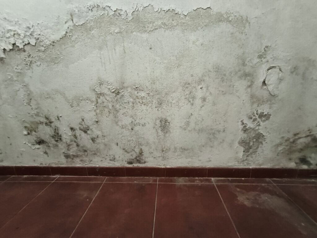 Ambiente di una casa vacanza con odore persistente di umidità dopo mesi di chiusura Ambiente di una casa vacanza con odore persistente di umidità dopo mesi di chiusura