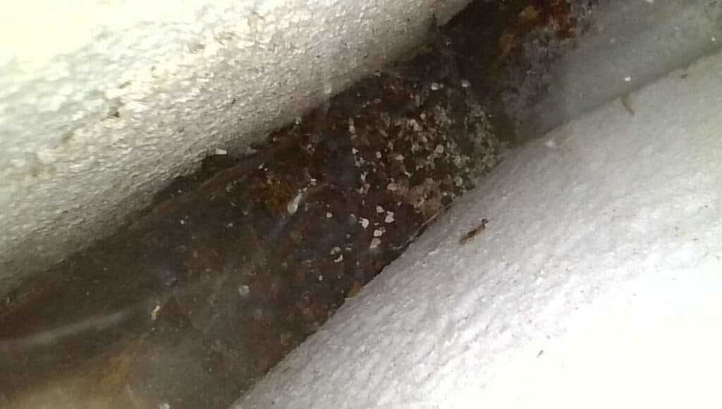 Cartongesso su muro umido perché coprire non significa risolvere il problema