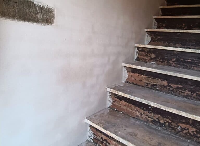 Nitrati e solfati nelle murature di una casa colonica: caso studio in un’ex stalla