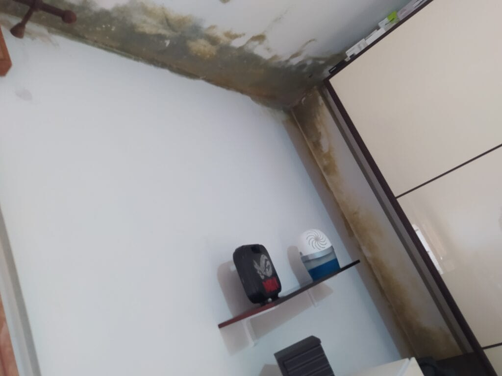 non si può mettere il cartongesso su un muro umido